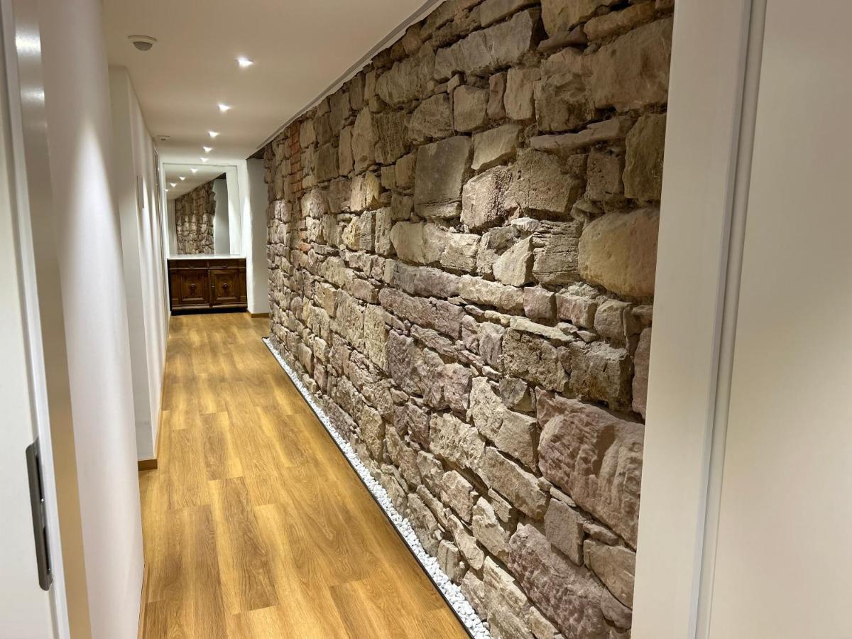 Historical Luxury Homes - Luxus Familien Suite Fribourg im Breisgau Extérieur photo