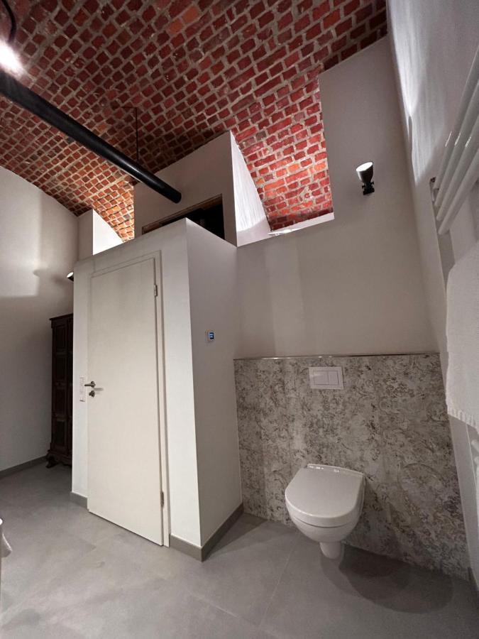 Historical Luxury Homes - Luxus Familien Suite Fribourg im Breisgau Extérieur photo