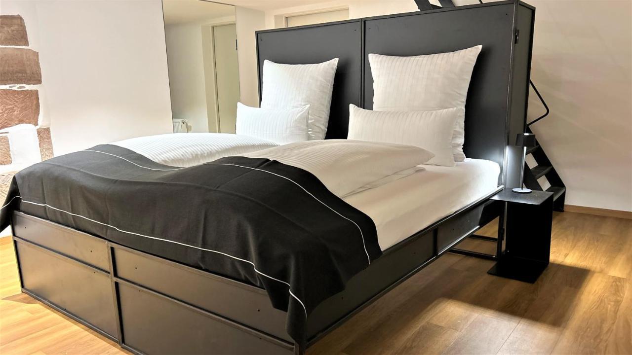 Historical Luxury Homes - Luxus Familien Suite Fribourg im Breisgau Extérieur photo
