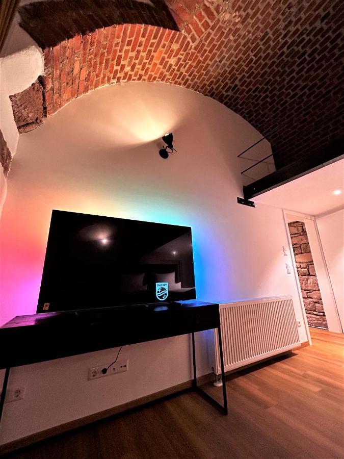 Historical Luxury Homes - Luxus Familien Suite Fribourg im Breisgau Extérieur photo