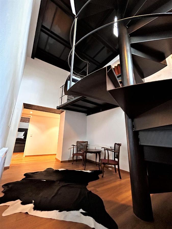 Historical Luxury Homes - Luxus Familien Suite Fribourg im Breisgau Extérieur photo
